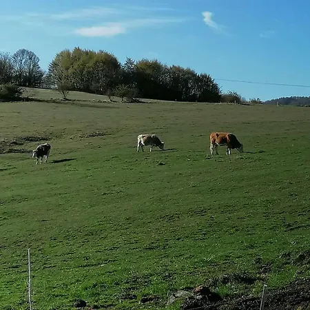 Ubytovanie Nad Stiavnicou Holiday home